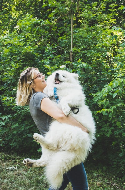 Dog Door for Sliding Glass Door Salt Lake City