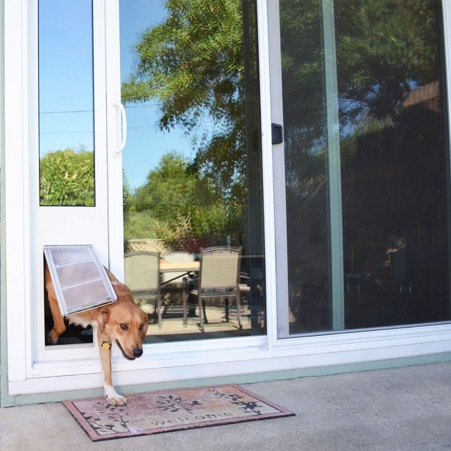 Review: Dog Door In Glass Installation 