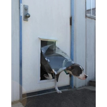 Dog Door Installation with Glass Pet Doors.