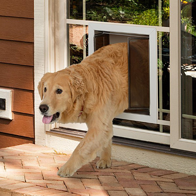 Dog Door in Glass Installation