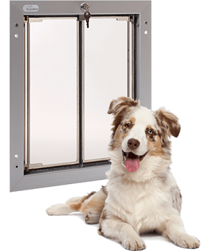 Wall entry dog door with Glass Pet Doors.
