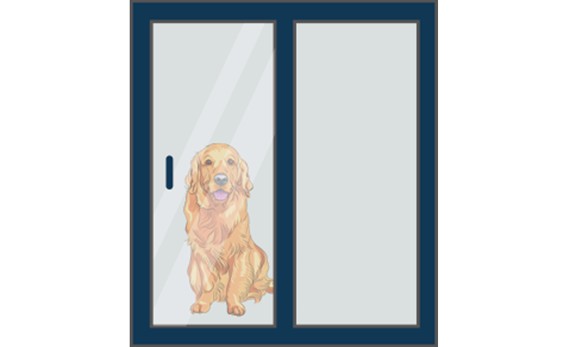 glass dog door