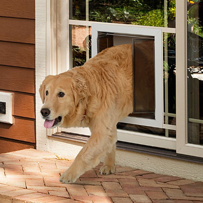 Dog Door In Glass Installation, Install Dog Door In Sliding Glass Door